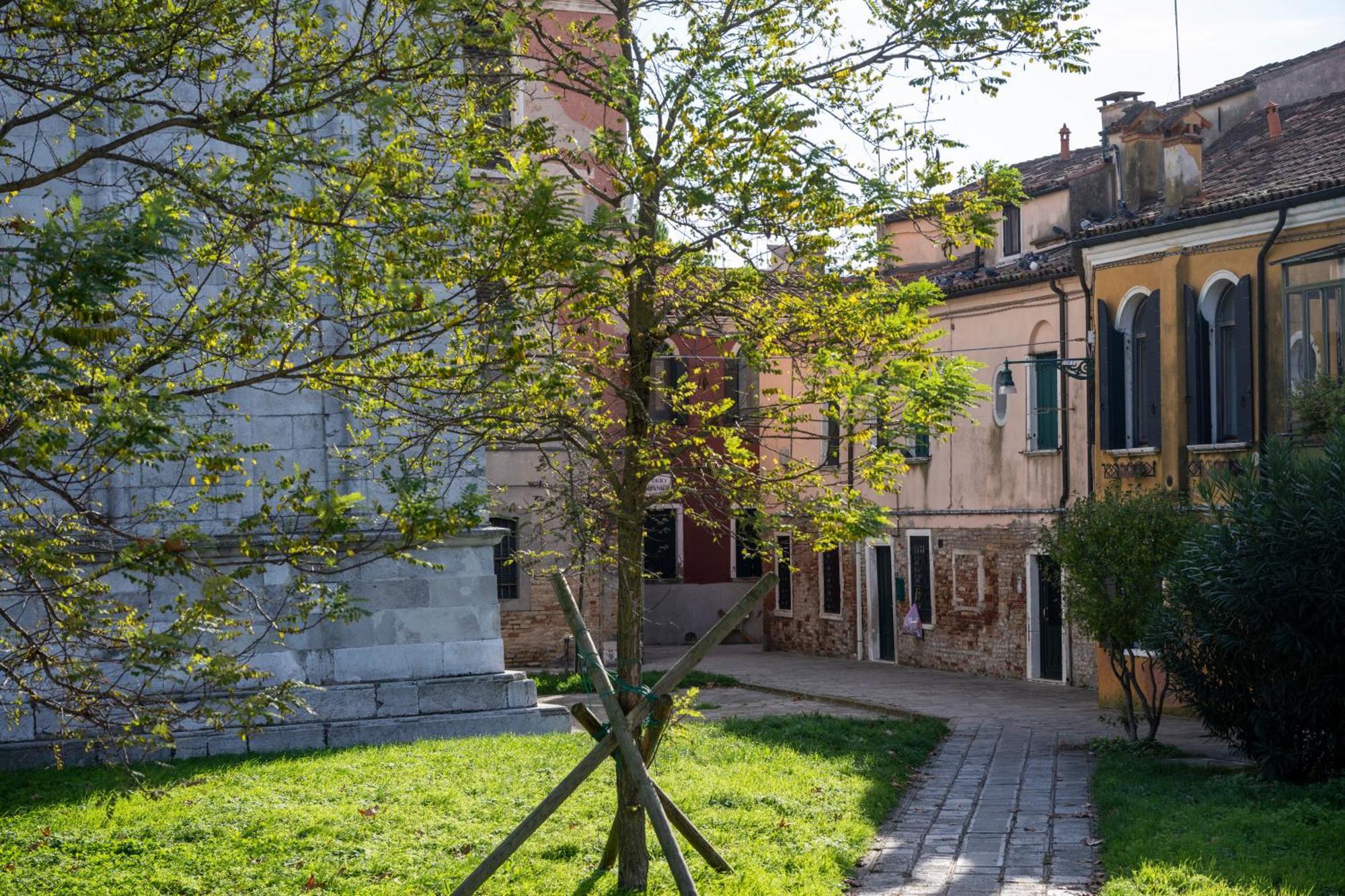 Apartment Residenza San Piero Venice
